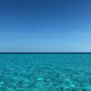 Meet your Posher, Jodi